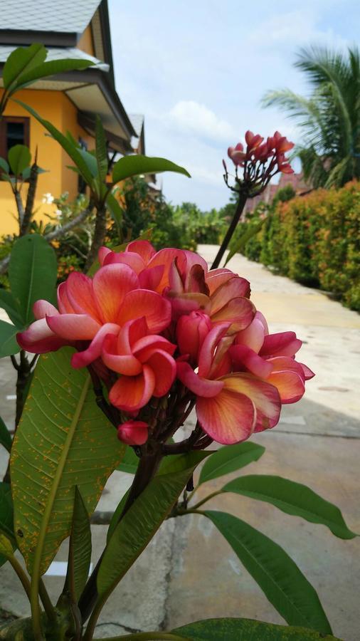 Baan Mek Lom Hotel Khao Lak Buitenkant foto