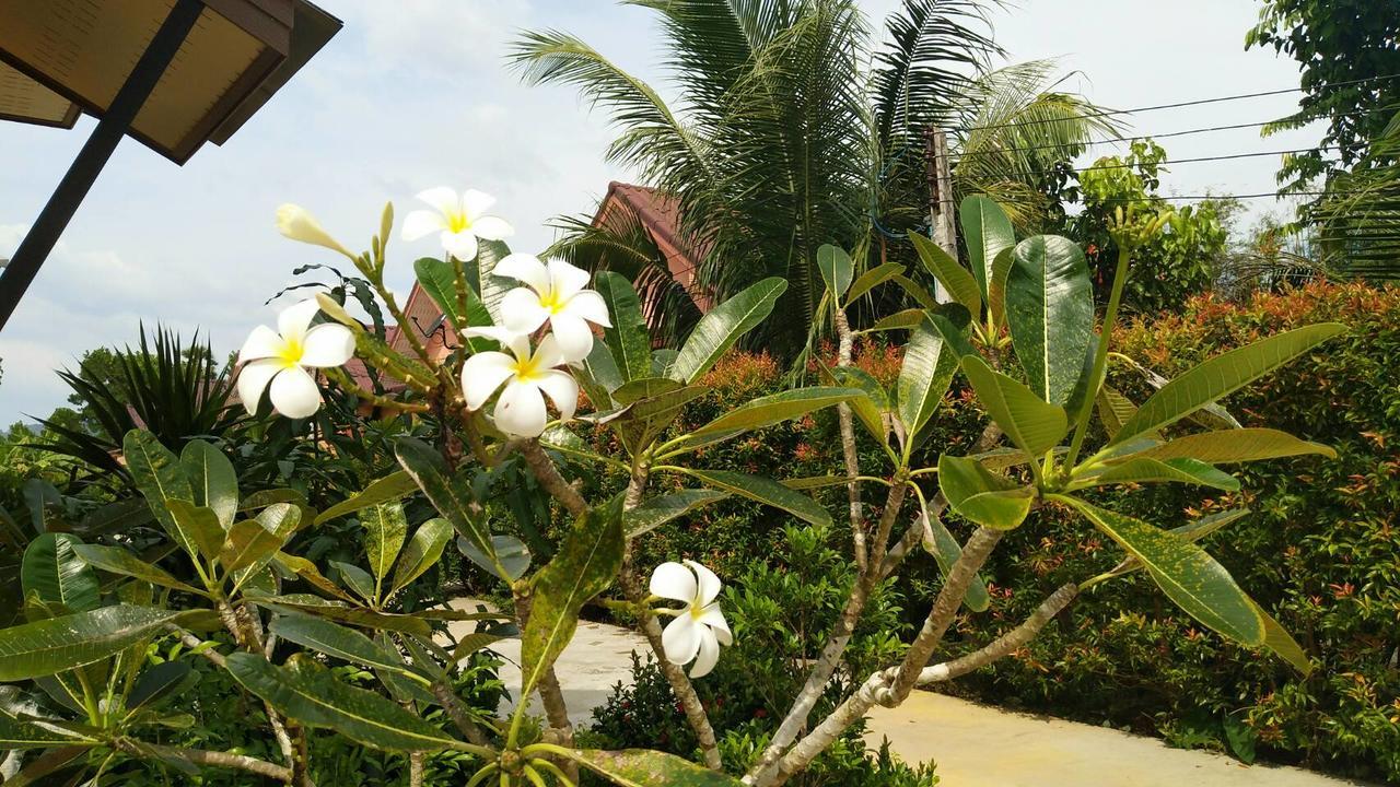 Baan Mek Lom Hotel Khao Lak Buitenkant foto
